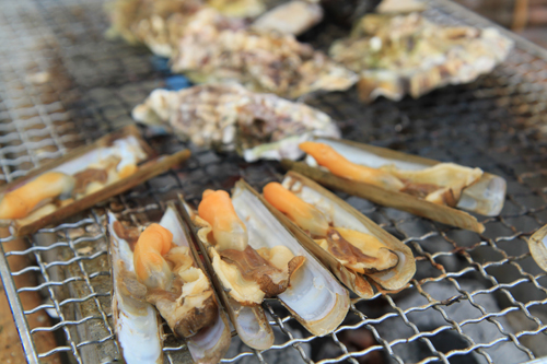 佐世保の赤マテ貝が旬 ホンマに美味い珍しい貝 メタボでフリーターおっさん